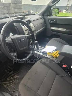 Ford Escape 2009 Gray