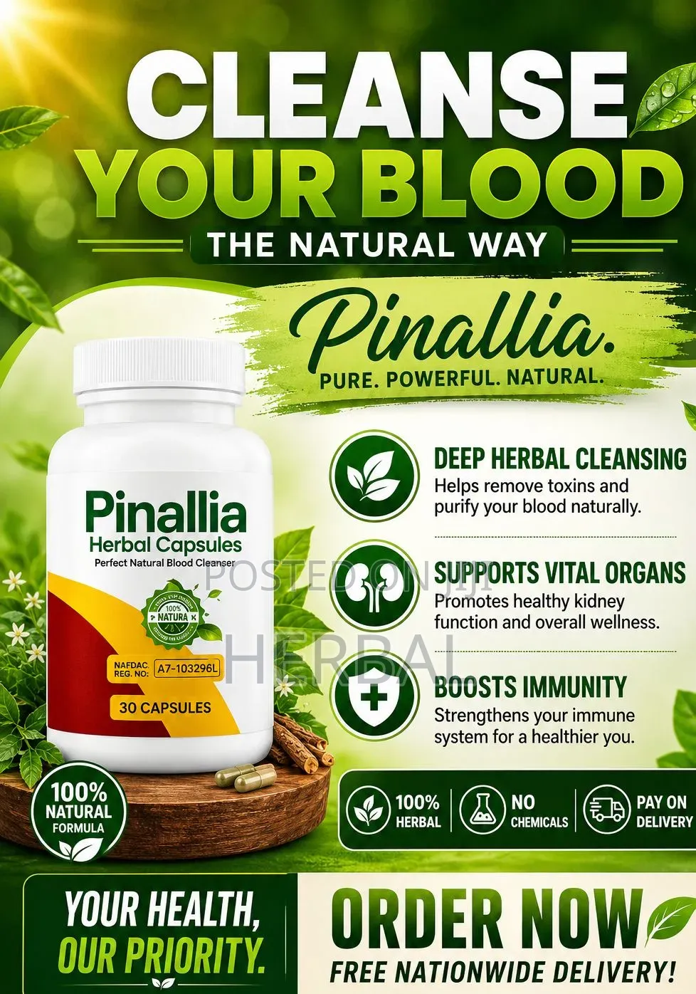 Pinallia Herbal Capsule, for Blood Cleansing and General Body Detox.