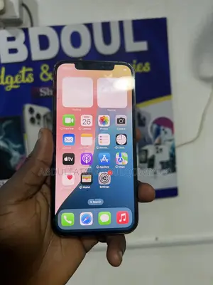 Apple iPhone 12 Pro 256 GB Graphite