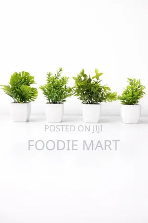 Mini Flower Pot