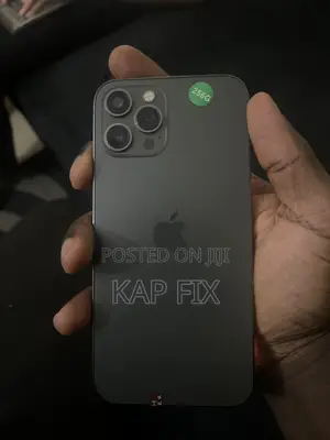 Apple iPhone 12 Pro Max 256 GB Black