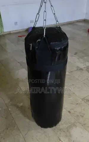Everlast Heavy-Duty Punching Bag - Excellent Condition