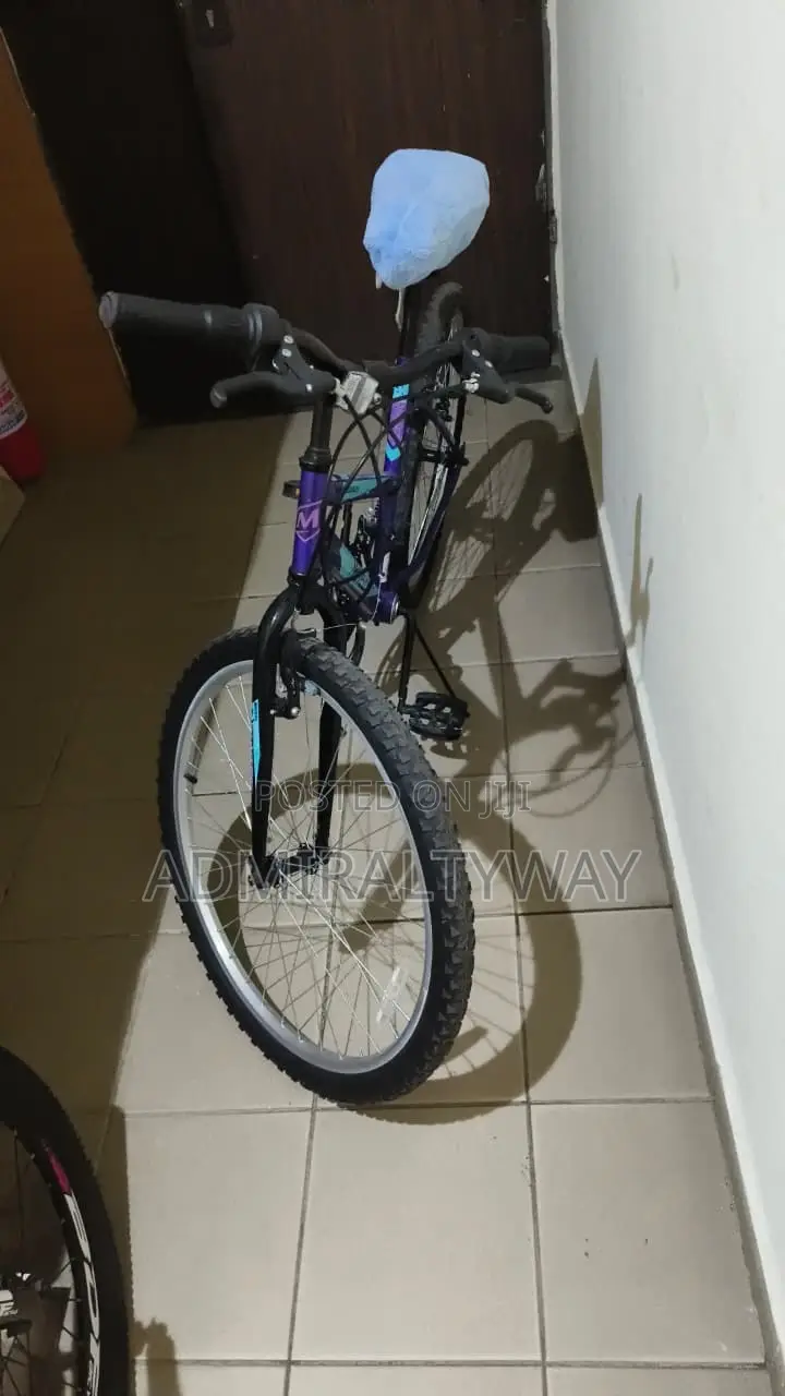 Movelo 21-Speed Mountain Bike - Used & Ready to Ride