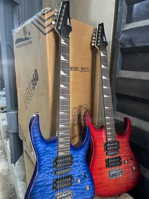 Professional Leed Guitar