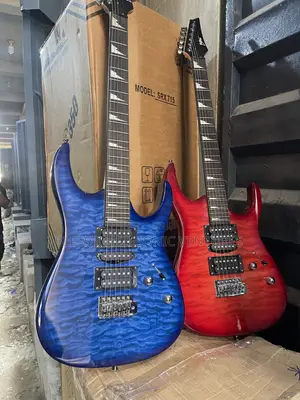 Professional Leed Guitar