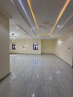9bdrm Duplex in Asokoro for sale