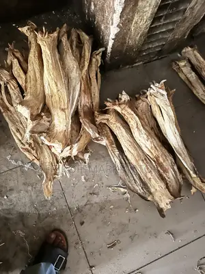 Stockfish Cod