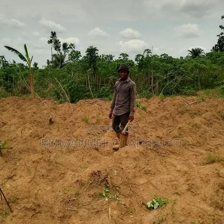 Land for Sale