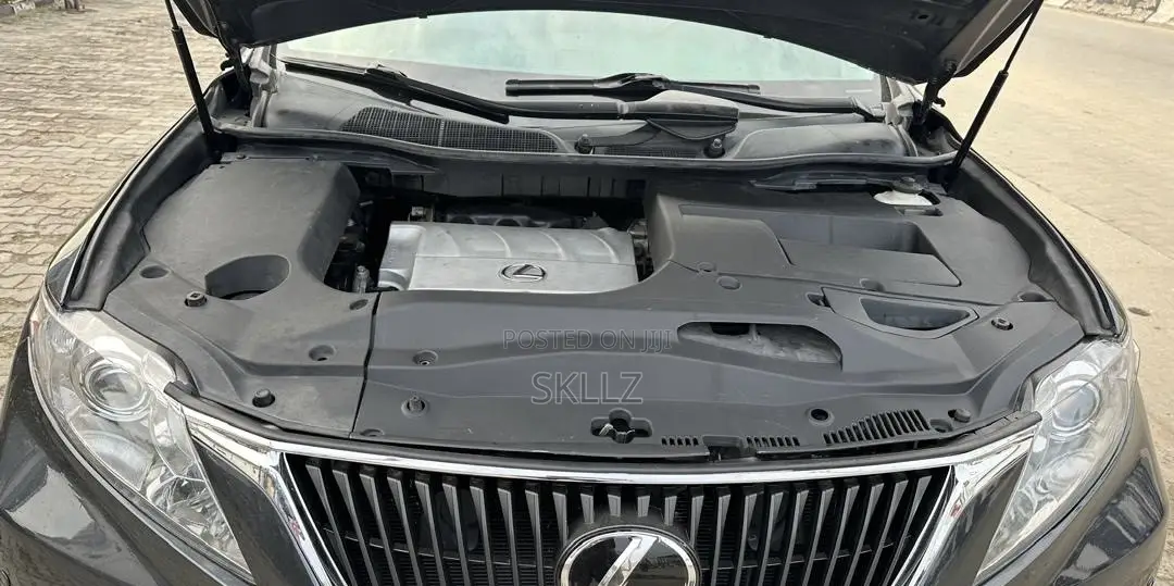 Lexus RX 2011 Gray
