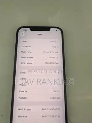 Apple iPhone 12 Pro Max 256 GB Blue