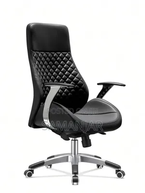 Executive Office Chair Black Color,
