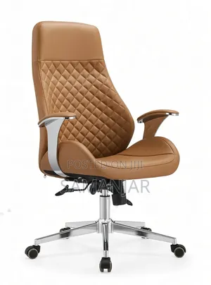 Premium Ergonomic Office Chair Brown Color