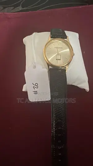 Wintnauer Men Watch