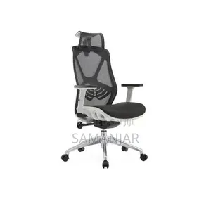 Y-Back Ergonomic Mesh Chair