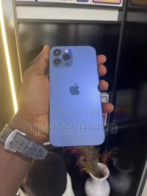 Apple iPhone 12 Pro Max 256 GB Blue