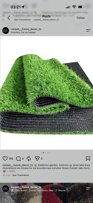 Green Carpet Grass