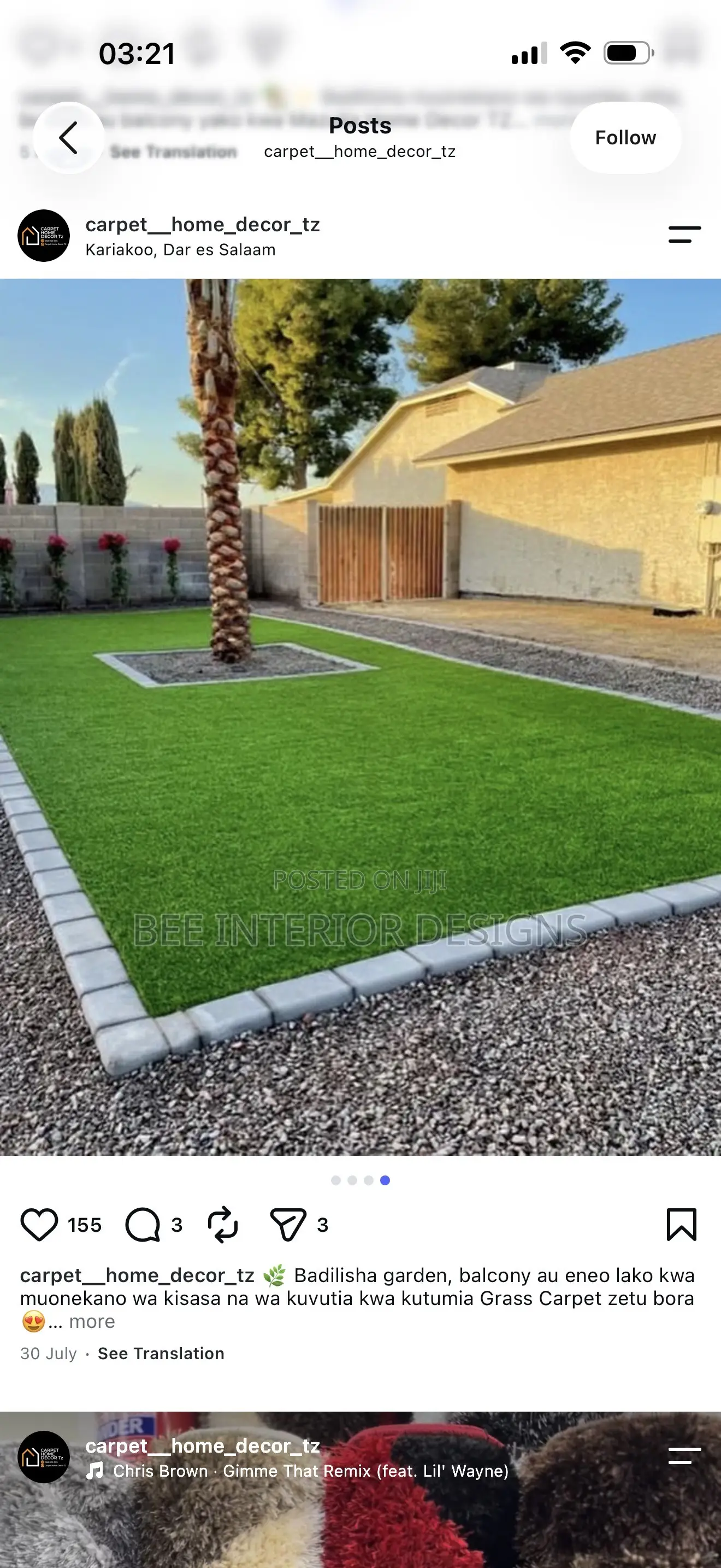 Green Carpet Grass