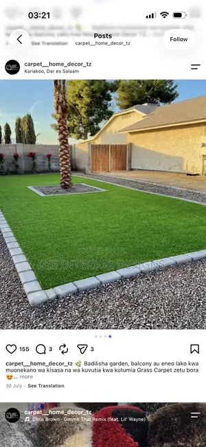 Green Carpet Grass
