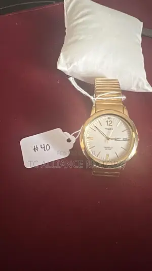 Timex Men Watch