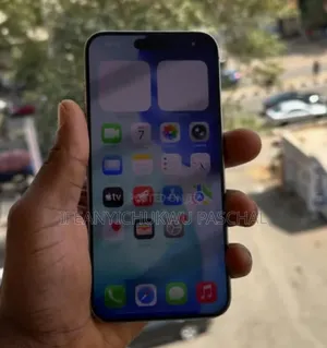 Apple iPhone 15 Pro Max 256 GB Silver