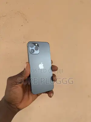 Apple iPhone 12 Pro Max 128 GB Gray