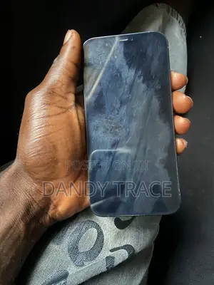 Apple iPhone 12 Pro Max 128 GB Blue
