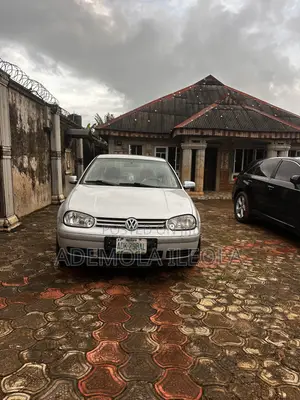 Volkswagen Golf 1996 Gray