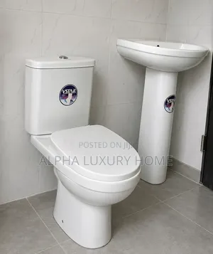 Toilet Seat and Basin