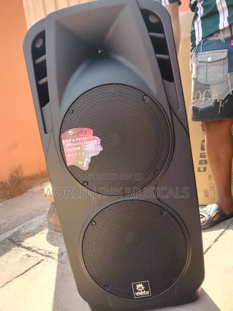 Double 12inches Public Address System