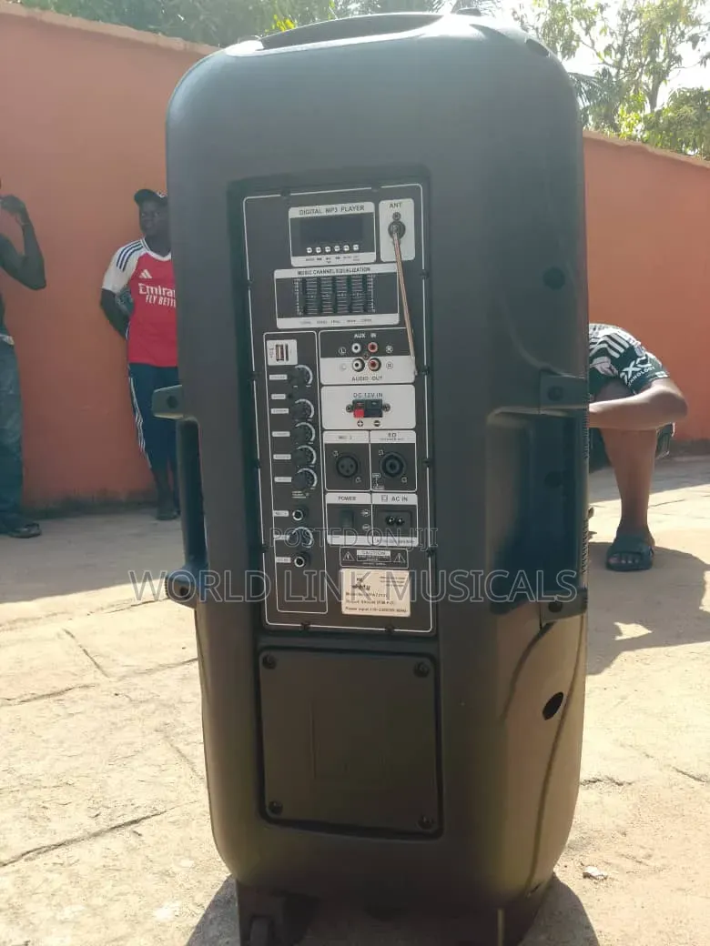 Double 12inches Public Address System