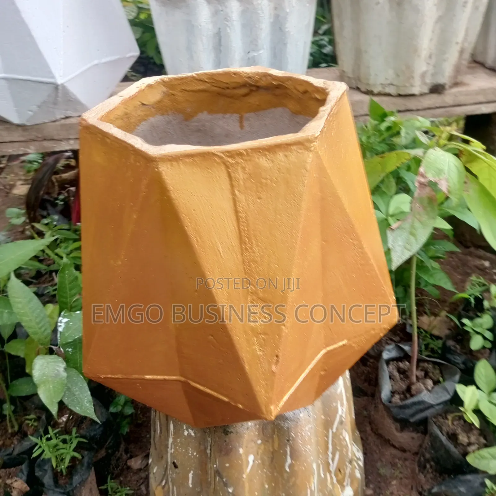 Flower Pot Hexagon Shape