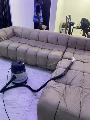 Pro Cleaning for Sofa