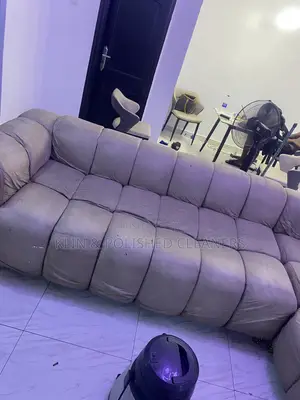 Pro Cleaning for Sofa