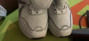 Sneakers Shoe