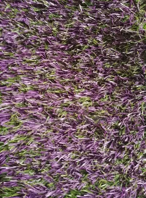 Artificial Grass . Available in Different Sizes and Colors.