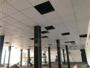 Suspended Ceiling
