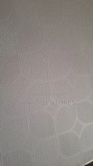 Suspended Ceiling