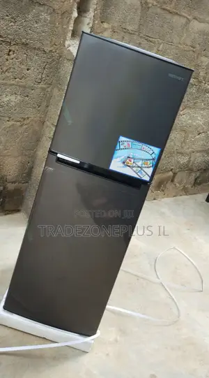 Skyrun BCD-145A Home Refrigerator With Separate Freezer Section