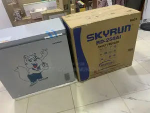 SKYRUN BD-250AI 200L Inverter Chest Freezer for Frozen Food Storage