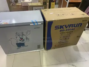 SKYRUN BD-250AI 200L Freezer for Home and Business Storage