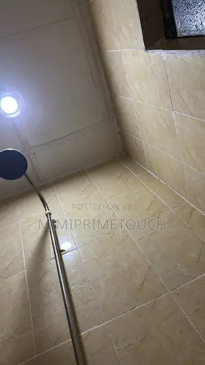 Cleaning Service