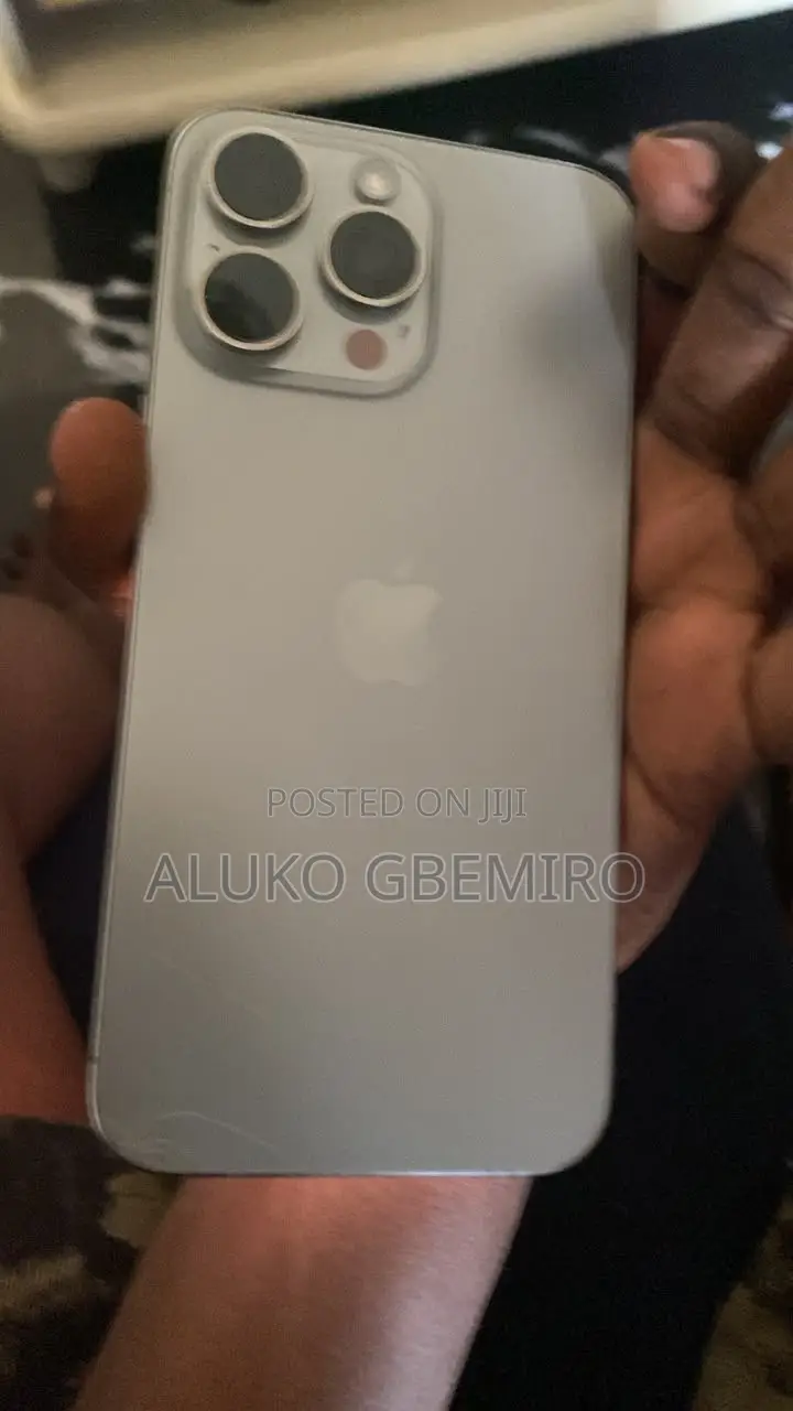 Apple iPhone 15 Pro Max 256 GB Silver