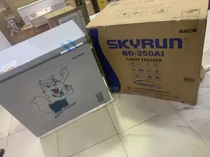 SKYRUN 200L Inverter Freezer : Your Food Storage Essential