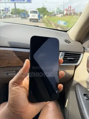 Apple iPhone 15 Pro Max 256 GB Blue