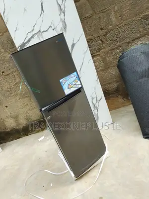 A Space Conscious Refrigerator Choice Skyrun BCD-145A