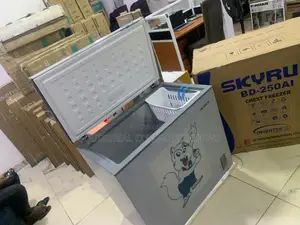 SKYRUN BD-250AI – An Elegant 200L Addition to Your Modern Home
