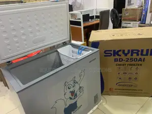 SKYRUN 200L Inverter Freezer – Designed for Contemporary Lifestyles