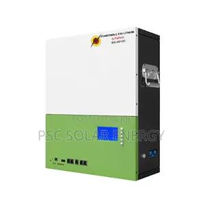 5KWh ( 51.2v/100Ah) OGM Powerwall LiFePo4 Lithium Battery