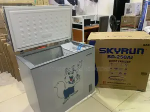 SKYRUN 200L – More Storage Possibilities for Your Everyday Needs