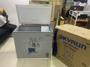 SKYRUN 200L Freezer – A Premium Solution for Your Frozen Essentials